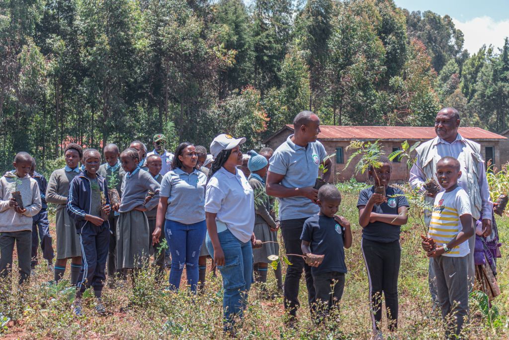 Children planting trees as part of the solution